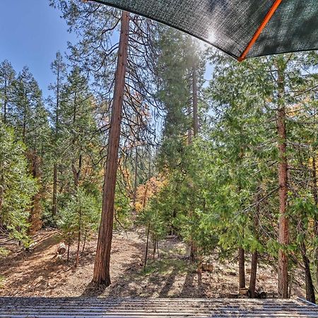 Quiet Twain Harte Cabin With Deck And Forest Views! المظهر الخارجي الصورة