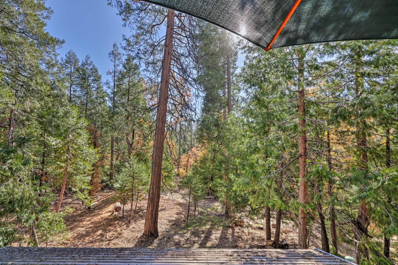 Quiet Twain Harte Cabin With Deck And Forest Views! المظهر الخارجي الصورة