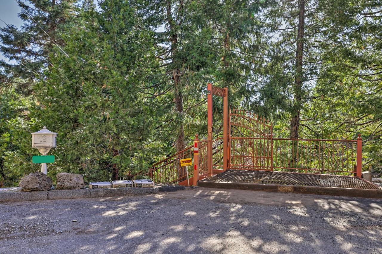 Quiet Twain Harte Cabin With Deck And Forest Views! المظهر الخارجي الصورة